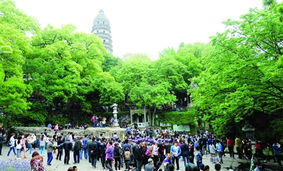 旅游服務(wù)新篇章 以品質(zhì)提升為核心，借力廣告與傳播媒體運(yùn)營引客來